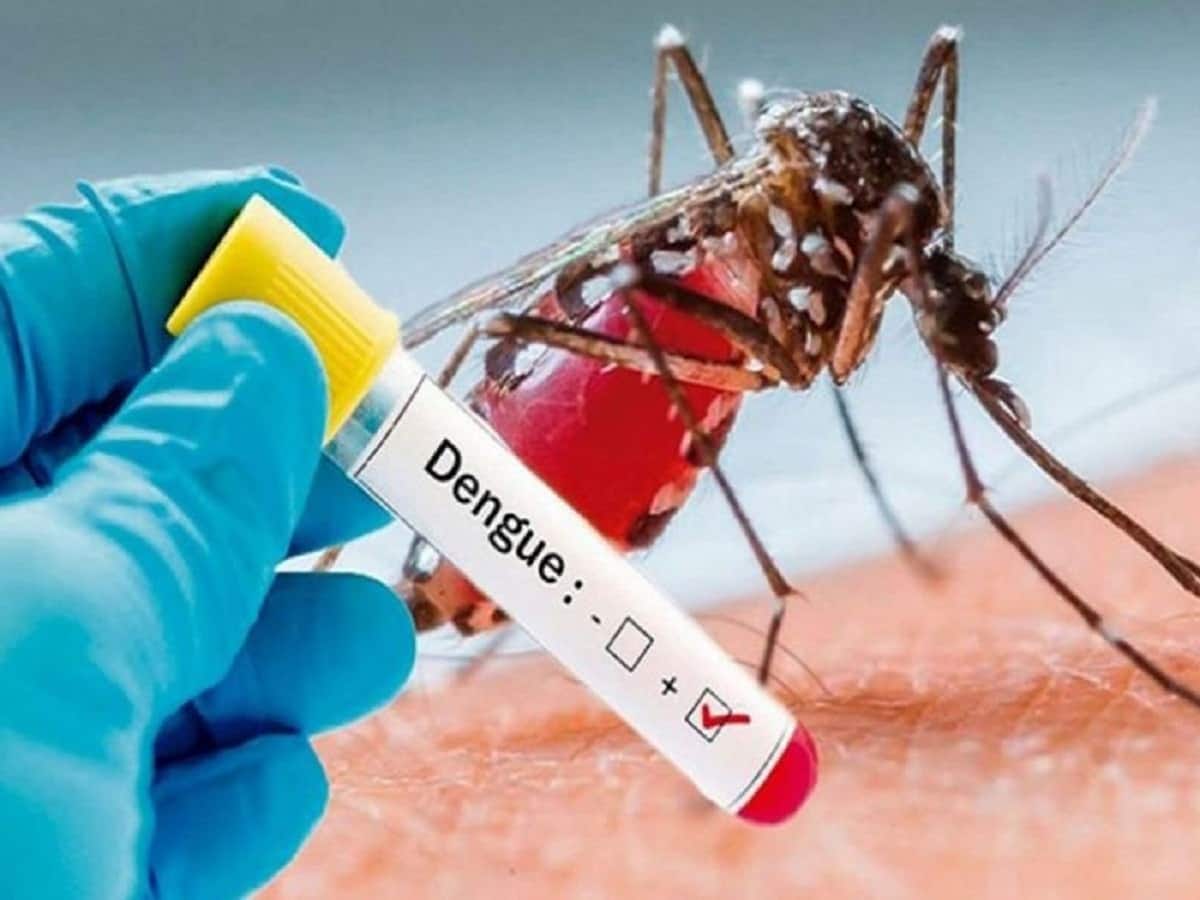 Health Department Of Noida Gears Up To Curb The Spread Of Dengue